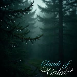 528 Hz - Enter a Deep State of Meditation & Connect to Universal Consciousness - Aster alpinus