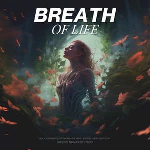Breath of Life - Help Your Baby Sleep Through The Night
