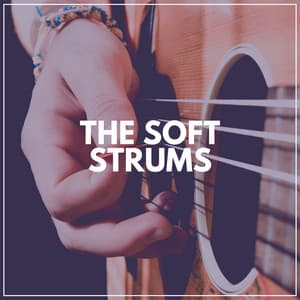The Soft Strums - Guitar