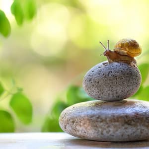 Zen Music for Gentle Relaxation - Night Songs