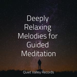 Deeply Relaxing Melodies for Guided Meditation - Amazing Spa Music