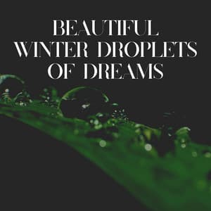 Beautiful Winter Droplets of Dreams - Meditation Rain Sounds