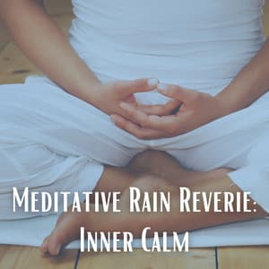 Meditative Rain Reverie: Inner Calm - The Magical Drops