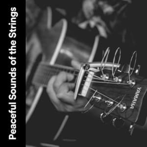Peaceful Sounds of the Strings - Relaxing Guitar Group