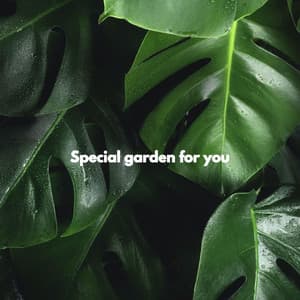 Special garden for you - Sleepy Time Sounds