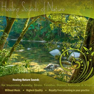 Healing Nature Sounds for Insomnia, Anxiety, Stress, Tinnitus, Babies, Massage & Yoga - Vol. 1 - The Healing Sounds of Nature