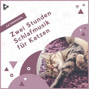 Zwei Stunden Schlafmusik für Katzen - Katzenmusik