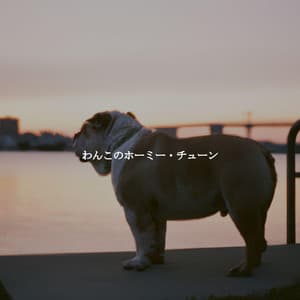 わんこのホーミー・チューン - French Cafe Jazz Luxury