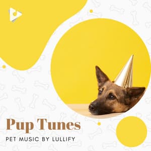 Pup Tunes - Pet Music by Lullify