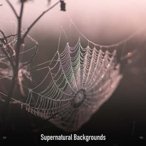 !!!!" Supernatural Backgrounds "!!!! - The Citizens of Halloween