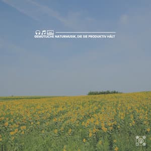 Gemütliche Naturmusik, die Sie produktiv hält - Naturgeräusche