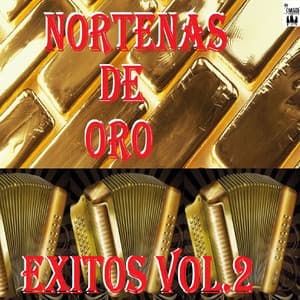 Exitos vol.2 - Nortenas De Oro
