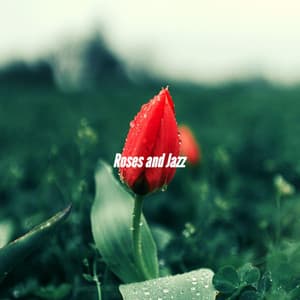Roses and Jazz - Elevator Jazz Music