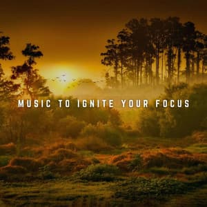 Music to Ignite Your Focus: Firelight Harmony - Warm Chill Fire Sounds