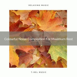 Colourful Noise Compilation For Maximum Rest - Brown Noise Therapy / Pure Deep Sleep White Noise
