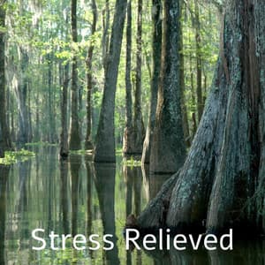 Stress Relieved - Tranquility Spree