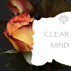 Clear Mind - Natural Spirit
