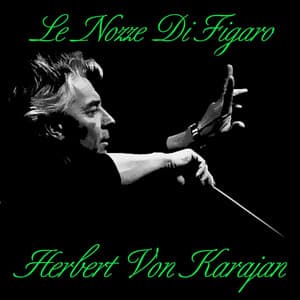 Le Nozze Di Figaro - Wolfgang Amadeus Mozart