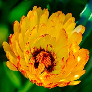 1 Night With White Noise: Surrounding Stillness Flow - White Noise