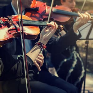 Gentle Night Orchestra for Relaxation - Charles Anderson