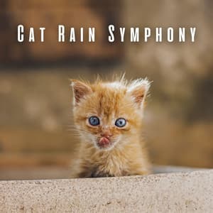 Cat Rain Symphony: Binaural Sounds with Theta Waves - HD Rain and Water