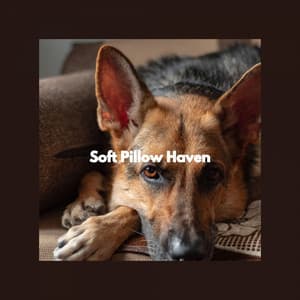 Soft Pillow Haven - Calming Dog Jazz