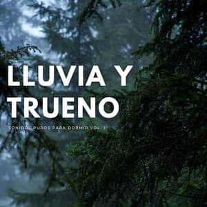 Lluvia Y Trueno Sonidos Puros Para Dormir Vol. 1 - Sueño Profundo Lluvia y Truenos