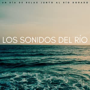 Los Sonidos Del Río: Un Día De Relax Junto Al Río Dorado - Agua Del Mar