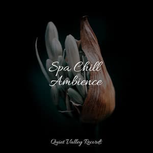 Spa Chill Ambience - Thunder Storm