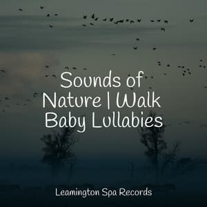 Sounds of Nature | Walk Baby Lullabies - Weather Factory