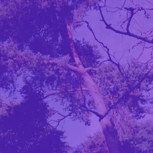 Music for Binaural Sleep - Relaxing Sleep Music