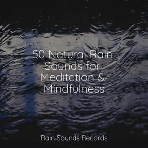 50 Natural Rain Sounds for Meditation & Mindfulness - Sonido Del Bosque y Naturaleza