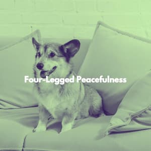 Four-Legged Peacefulness - Dinner Background Music