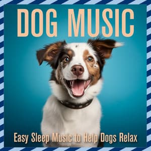 Dog Music: Easy Sleep Music to Help Dogs Relax - Relaxmydog
