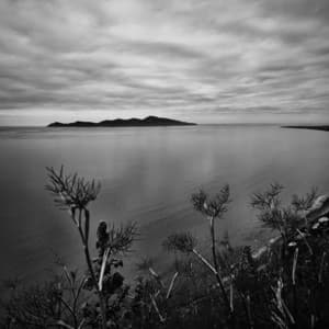 50 Songs For The Night:White Noise Ambience - White Noise Therapy