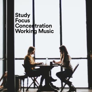 Study, Focus, Concentration, Working Music - Study Background Music