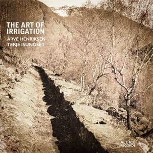 The Art of Irrigation - Arve Henriksen
