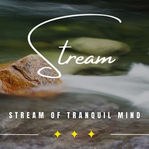 Tranquil Stream Focus: Binaural Concentration by the Waterside - Focus