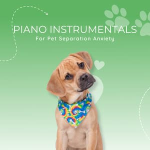 Piano Instrumentals for Pet Separation anxiety - Pet Music Therapy