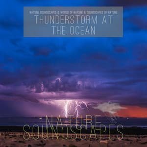 Thunderstorm at the Ocean - Nature Soundscapes