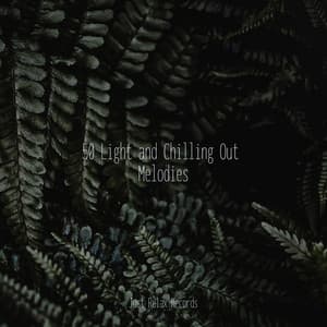 50 Light and Chilling Out Melodies - Bedtime Baby