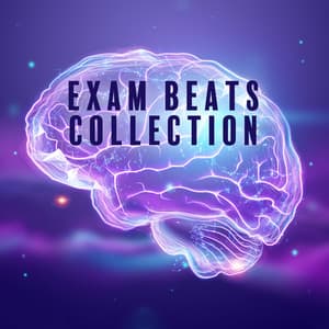 Exam Beats Collection: Rhythmic Chill New Age Music to Focus, Improve Concentration & Brain Power - Academy of Increasing Power of Brain