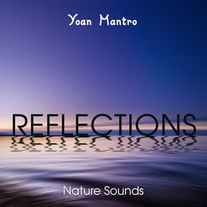 Reflections - Yoan Mantro