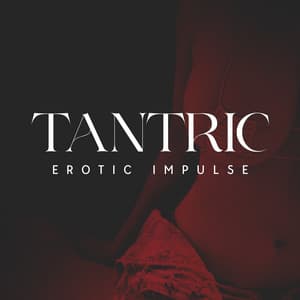 Tantric Erotic Impulse: Couple Evening Pleasures, Wild Love - Intimate Music Collection