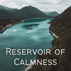 Reservoir of Calmness - Meditation Music For Sleep