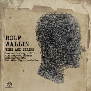 Wire and String - Rolf Wallin