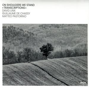 On Shoulders We Stand - David Linx