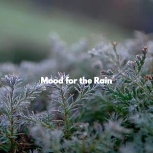 Mood for the Rain - Smooth Dinner Jazz