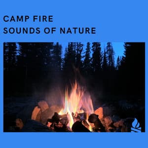 Camp Fire: Sounds of Nature - Campfire & Fireplace