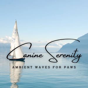 Oceanic Canine Serenity: Ambient Waves for Paws - Relaxing Med Waves